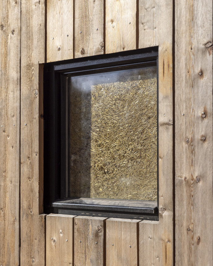 Fotograaf: Lucas van der Wee