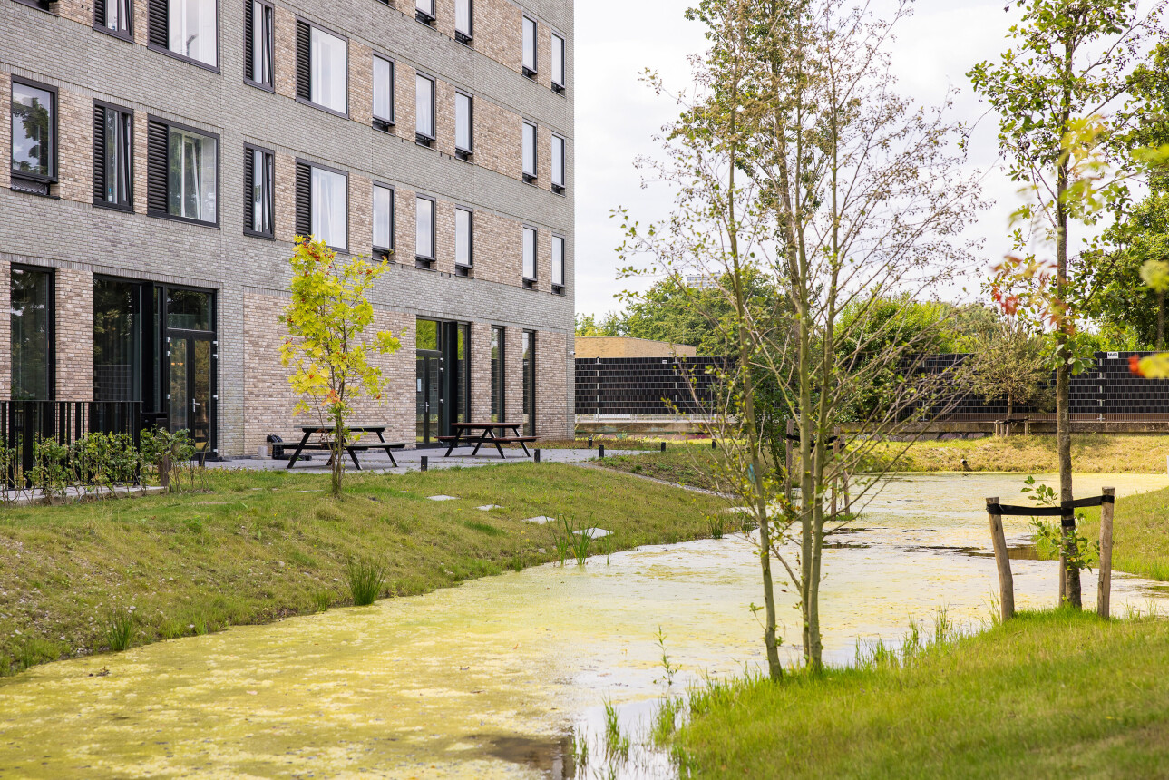 Magis Real Estate & Arc Design Studio - Fotograaf: Bas Gijselhart